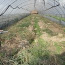 성하농장 이미지