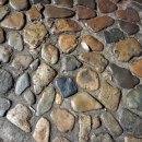 정소아과의원 이미지