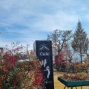 슈퍼바우 | 거창카페 바우카페 시그니처 아보카도커피