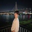 12 이미지