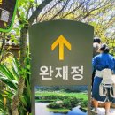 이팝나무 펜션 | 밀양 위양지 완재정 이팝나무 개화시기 주차장