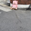 건국수제돈까스 이미지