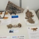 팔레오테이블