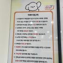안산 애견카페 노리멍 주말 방문 후기