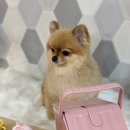 제이앤제이 그루밍 이미지