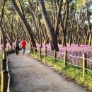 송림쉼터 이미지