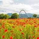 해나의정원 이미지