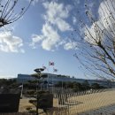 국무조정실건너편 이미지