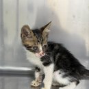 하빈로84길 이미지