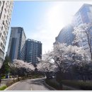 센텀정원공인중개사사무소 이미지