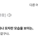 에스엠(SM)헤어 이미지