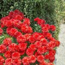 자연속에 둥지펜션 이미지