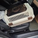 양주 온 동물병원 | 대구 범어동 따뜻한온동물병원 담이 스케일링 내돈내산 후기