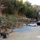 약식동원 다루야 이미지