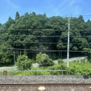 쎄븐일레븐효자행복점 | 우주 속 romantic 💥