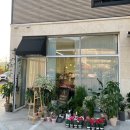 앙주드플레르 | [대구 연경동] 대구원데이클래스 꽃집 <앙주드플레르>