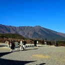 (주)반구대사람들 | 양산 통도사 서운암 장경각 반구대 암각화