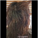 &lt;다정동미용실&gt; 새봄헤어 다정점 후기!