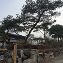 선일목장 이미지