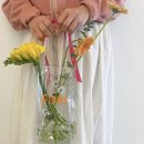 Dear Daeng | 따스해진 봄날 천안 프리마켓