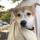 기다리다 이미지