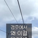 경주루지월드 푸드코트 이미지