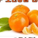 슬기로운유라생활 이미지