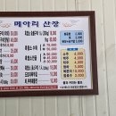 금정의 메아리 이미지