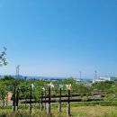 서호동-19 네이버블로그