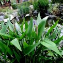 새마을운동발상지기념공원 이미지