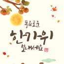 선광안경원 이미지