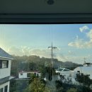 큰코지아침 이미지