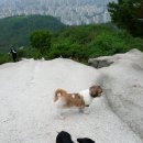 귀임봉전경 이미지