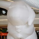 뉴에라모터스포츠 | 스타필드하남 : 정용진 신세계스타필드하남 구경
