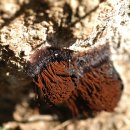 동암아이사랑어린이집 이미지