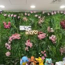 젤라또공대