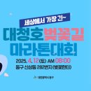 벚꽃길 | 2025 대청호 벚꽃길 마라톤 대회 하프 참가 후기