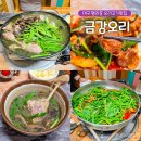 비산동 주민정보이용실 | 대구 평리동 맛집 오리백숙 오리불고기 보양식 금강오리