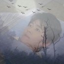 보광반점 이미지