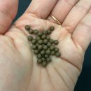 명한의원 | 반포 다이어트한의원-내돈내산 한약다이어트 1주차 솔직 후기