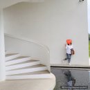 카페델피노 인근 이미지