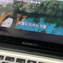 만금동물병원 | 간호법 반대가 가장 속 편하다.