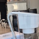 이랑바이오 | 미네랄 정수기 추천 물맛 진짜 달라지는 에이스바이오플러스 솔직 후기