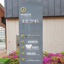 연천공영버스터미널 | 연천버스터미널 - 39-2, G2001, 7100번 타는 곳