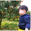 홍지농장 이미지