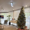 박스원(BOX ONE)호텔 | 멜버른 브래디 하드웨어 레인 | 멜버른 CBD 취사가능 숙소 내돈내산 후기