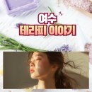 모델란트 | 여수시 피부관리, mts 앰플관리 테라피이야기