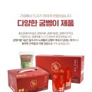 갑천로 | 피로회복에 굼벵이즙? 실제 복용 후기와 복용법 공유합니다!