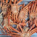 강구시장 이미지