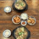 한양막국수;상황버섯반계탕 | 여주현지인맛집_한양막국수상황버섯반계탕 [위치, 영업시간, 주차 여부, 메뉴 등]